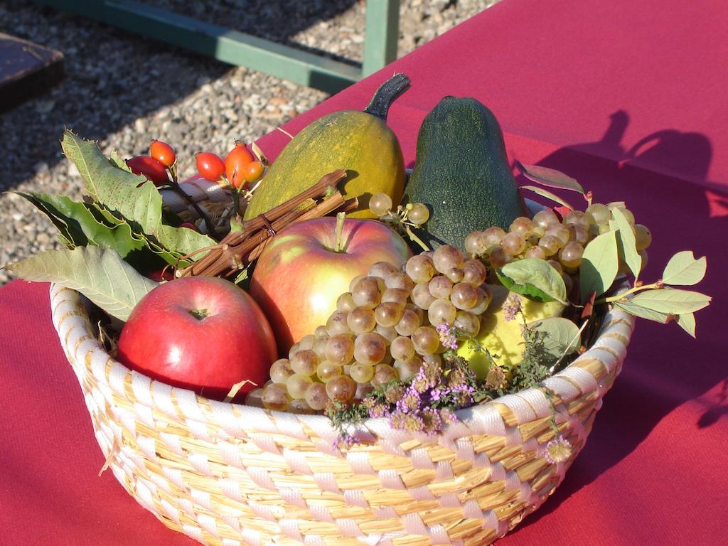 Farm Stay Jarc Vineyard Svecina Εξωτερικό φωτογραφία