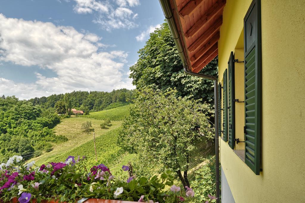 Farm Stay Jarc Vineyard Svecina Εξωτερικό φωτογραφία