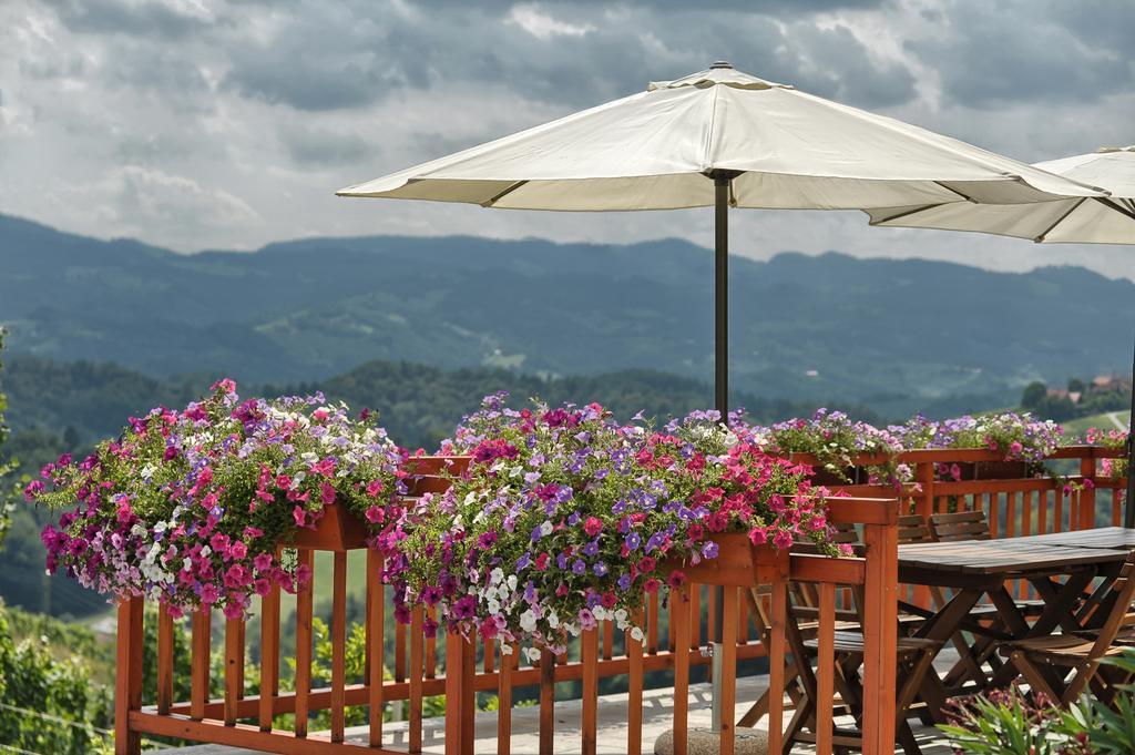 Farm Stay Jarc Vineyard Svecina Εξωτερικό φωτογραφία