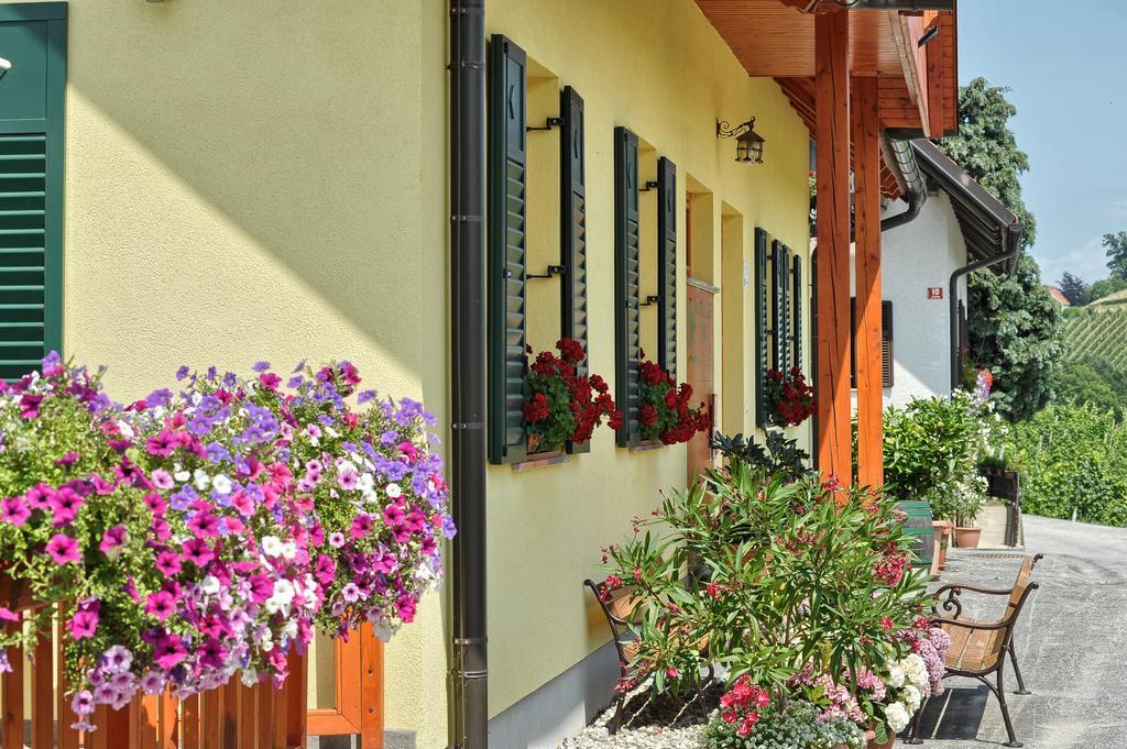 Farm Stay Jarc Vineyard Svecina Εξωτερικό φωτογραφία