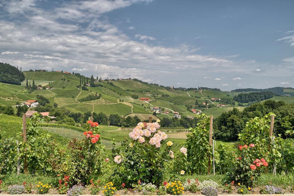 Farm Stay Jarc Vineyard Svecina Εξωτερικό φωτογραφία