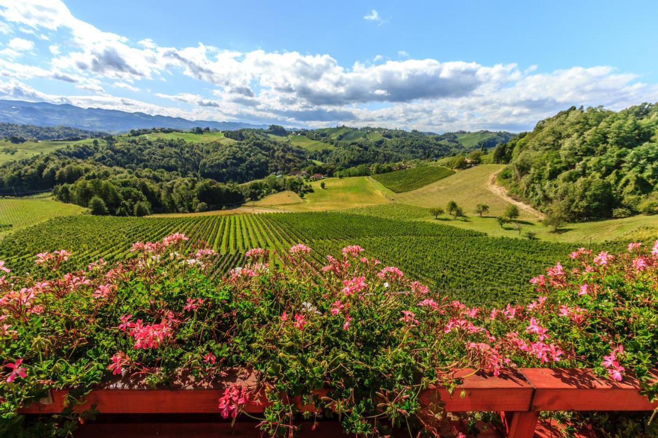 Farm Stay Jarc Vineyard Svecina Εξωτερικό φωτογραφία