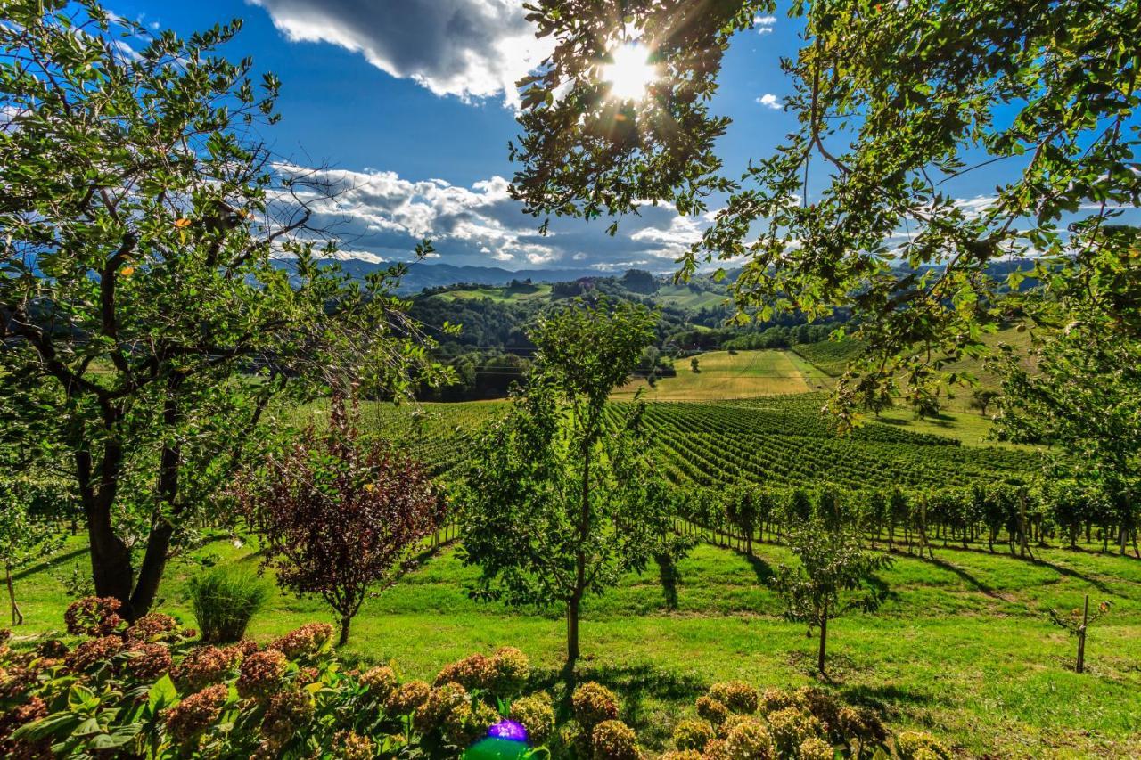 Farm Stay Jarc Vineyard Svecina Εξωτερικό φωτογραφία